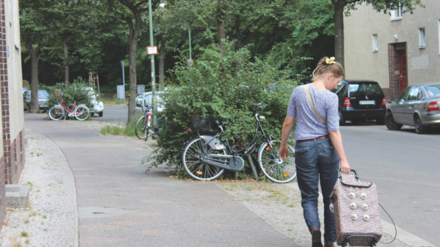 Die Weisen: leben sammeln und fragen, warum