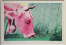 screen print: left, a pink head of a cow enters the picture, chewing on chrome green grass growing in the curb of a street