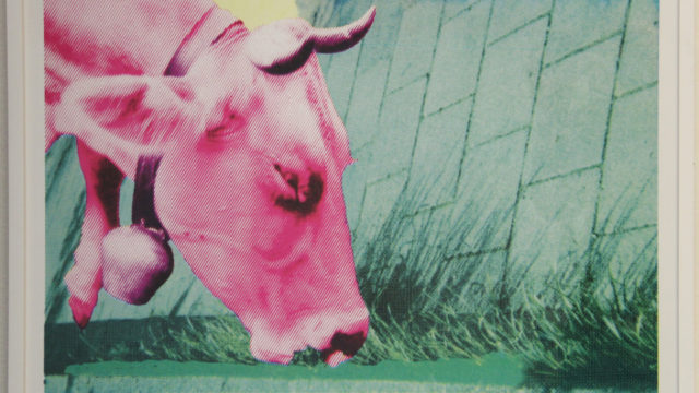 screen print: left, a pink head of a cow enters the picture, chewing on chrome green grass growing in the curb of a street