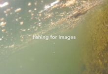 fishing for images