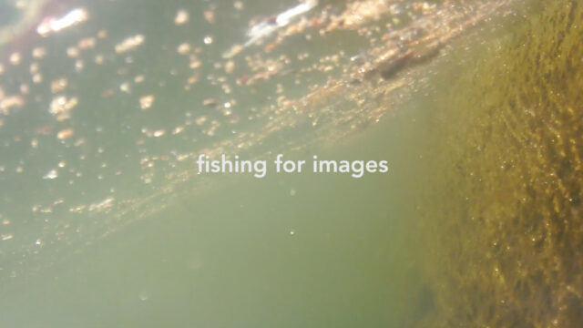 fishing for images
