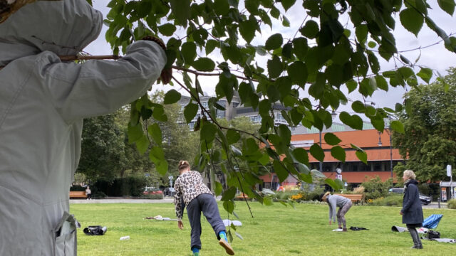 Eine Person in einem hellen Anorak steht zusammen mit einem kleinen Baum und schaut auf ein paar Menschen, die sich frei auf einer Weise auf dem Steinplatz in Berlin bewegen
