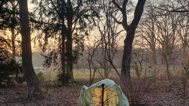 In der winterlichen Abenddämmerung im Park: ImHintergrund mehrere kahle Bäume. Über einen kleinen Busch im Vordergrund hängt eine hellblaugraue Plastikfolie, die von der untergehenden Sonne von hinten angestrahlt wird, so das sie im Inneren orange leuchtet. Zweige des Buschs heben den Plastikfolien-Mantel zu beiden Seiten in die Höhe, wie ein warnender Geist.